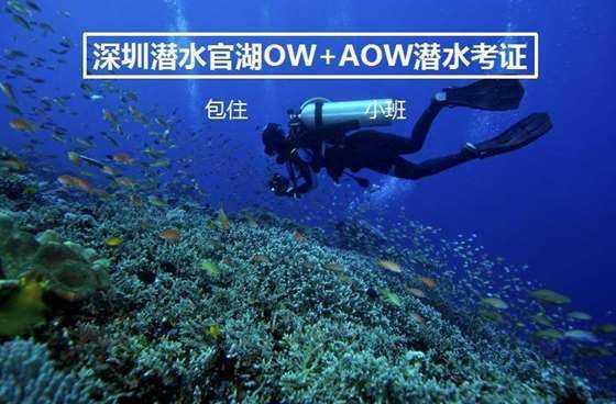 橱柜门板用什么材料好?厨柜门用什么颜色好?,加入我们获得专业知识与互动交流